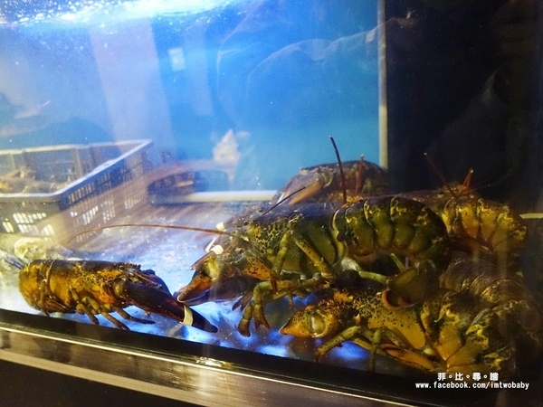 極蜆鍋物：【松山火鍋】極蜆鍋物 奢華蜆精當湯底 涮肉煮海鮮每一口都是極致鮮甜！民生社區火鍋/台北火鍋推薦