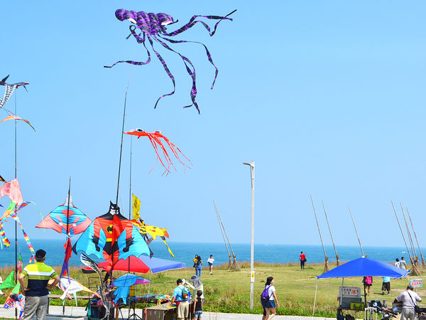 環保復育公園02-寬闊的草皮與海景