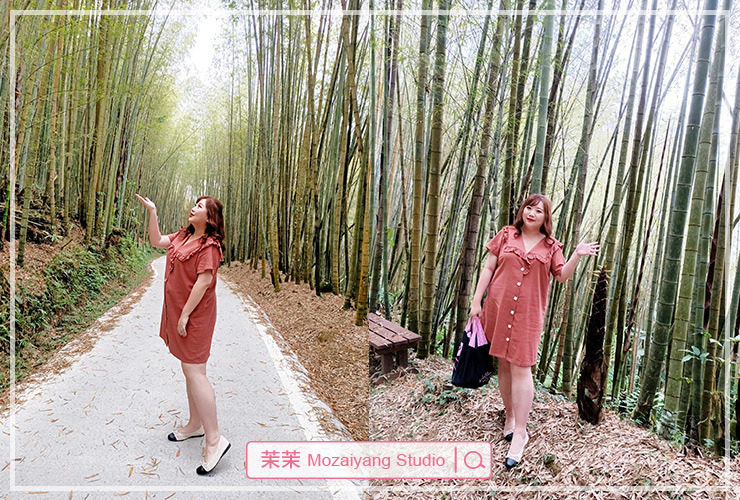 阿里山西北廊道三天兩夜小旅行