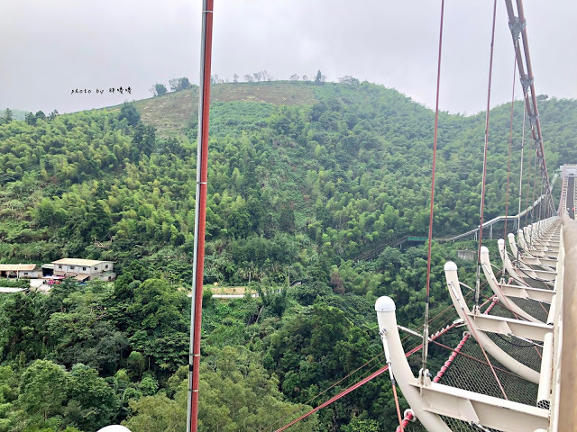 【嘉義 梅山】太平雲梯👉超長高空吊橋，景觀極佳，還可以順道逛逛太平老街，高山空氣好，真的很舒服哦~
