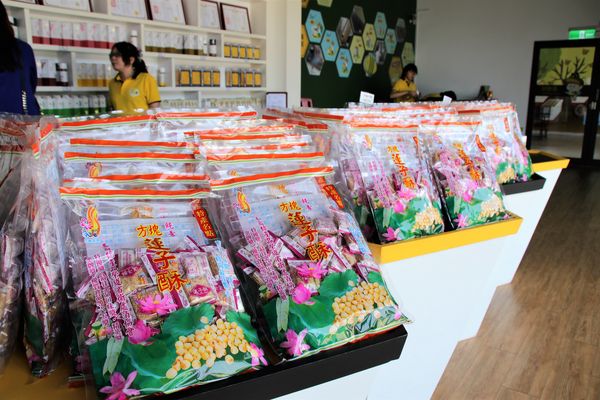 東和蜂文化觀光工廠:【台南東山景點】東和蜂文化觀光工廠~黃色的蜜蜂造型來圍繞整個主題