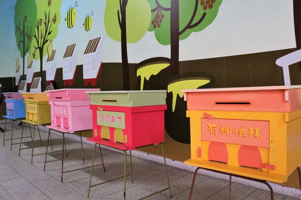 東和蜂文化觀光工廠:【台南東山景點】東和蜂文化觀光工廠~黃色的蜜蜂造型來圍繞整個主題