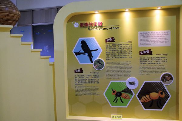 東和蜂文化觀光工廠:【台南東山景點】東和蜂文化觀光工廠~黃色的蜜蜂造型來圍繞整個主題
