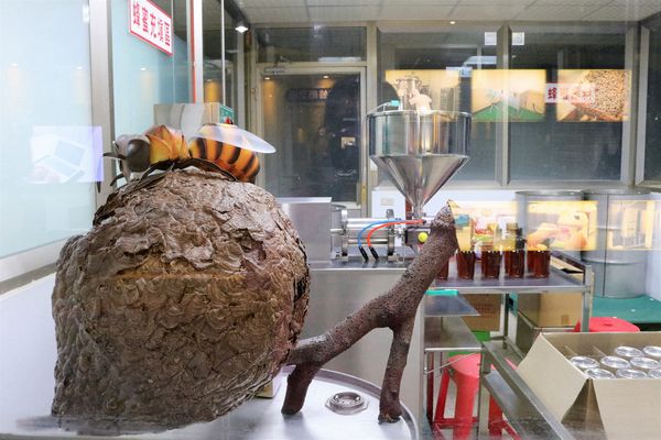 東和蜂文化觀光工廠:【台南東山景點】東和蜂文化觀光工廠~黃色的蜜蜂造型來圍繞整個主題