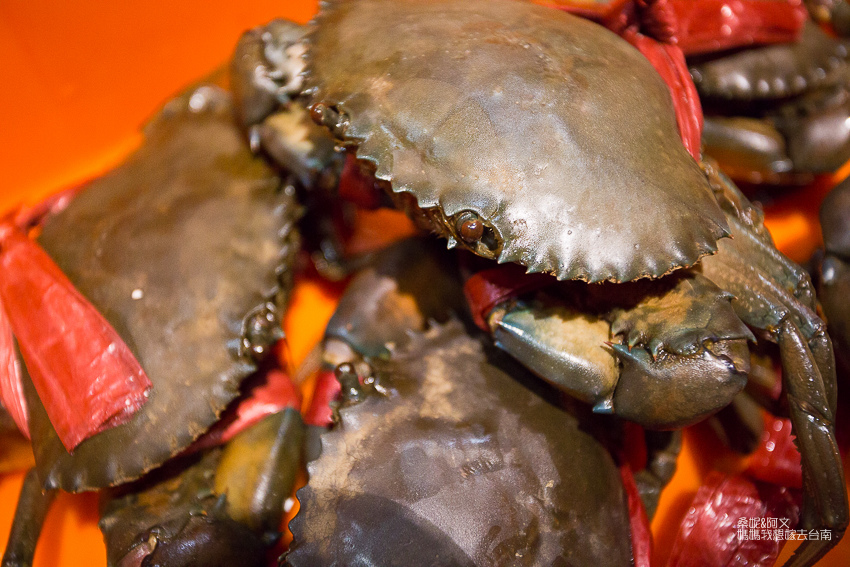 1060920 (1003 - 40).JPG