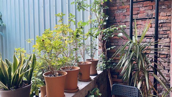 【飛與行的記憶】國內∣台北：赤峰街