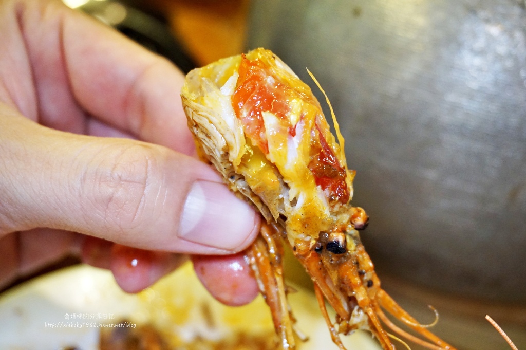 雲林蝦狠大活蝦DSC03593-094.JPG