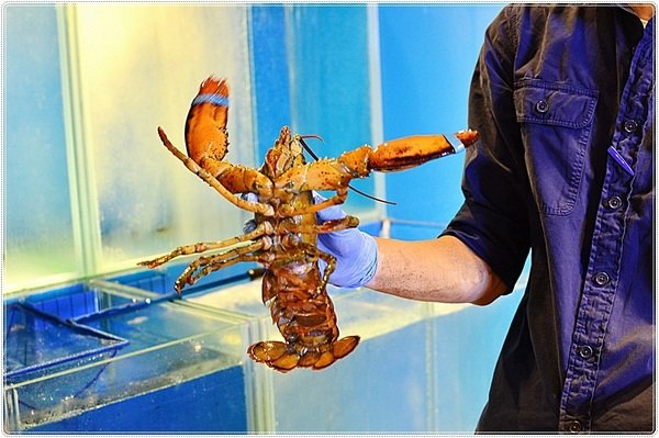 藍寶寶麻辣火鍋：台北中山』藍寶寶麻辣火鍋║驚動武林獨家秘方麻辣鍋再度問世，一個人也能獨享鴛鴦鍋風味～（可宅配）