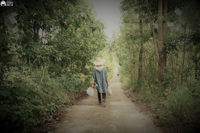 2017|酒窩小姊台南玉井芒果小旅行