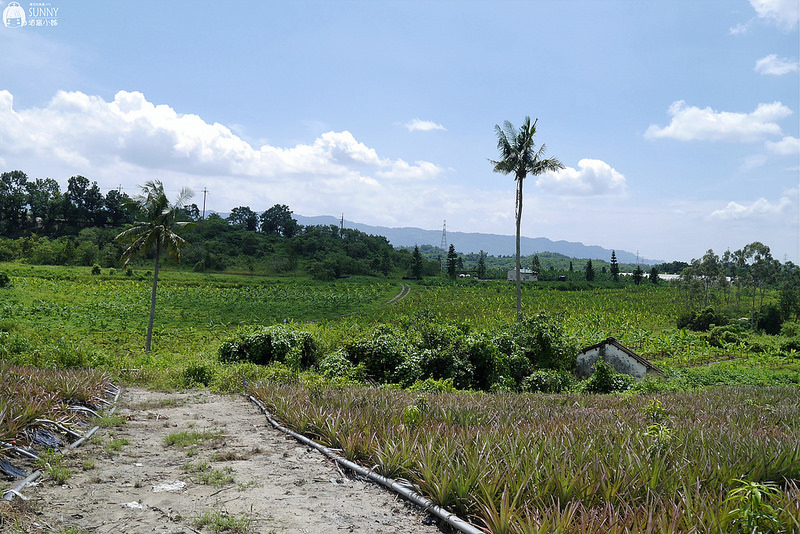 2017|酒窩小姊台南玉井芒果小旅行