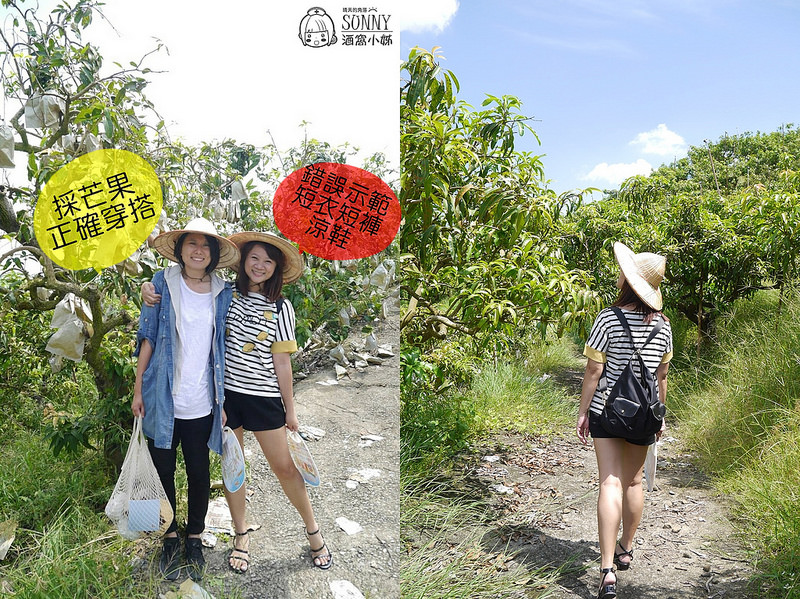 2017|酒窩小姊台南玉井芒果小旅行