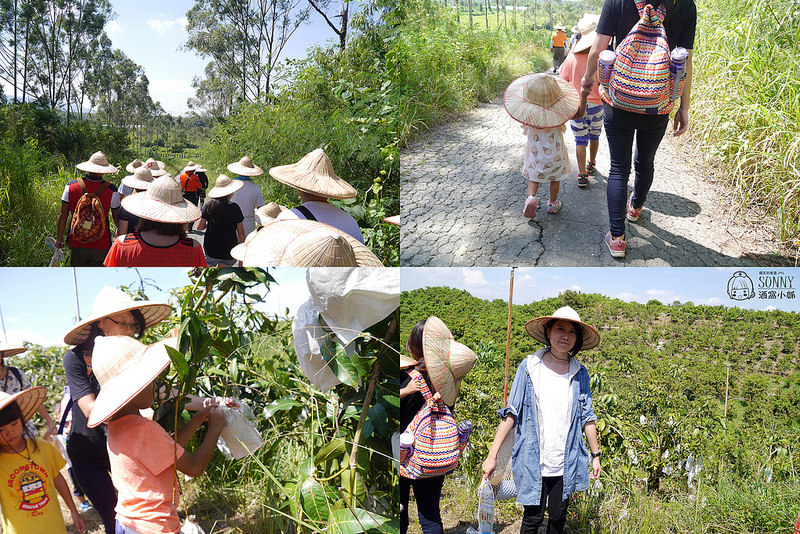 2017|酒窩小姊台南玉井芒果小旅行
