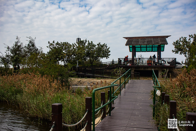 【遊記】雲林口湖宜梧滯洪池 (23)
