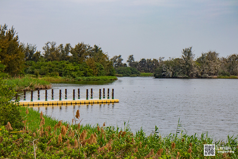 【遊記】雲林口湖宜梧滯洪池 (31)