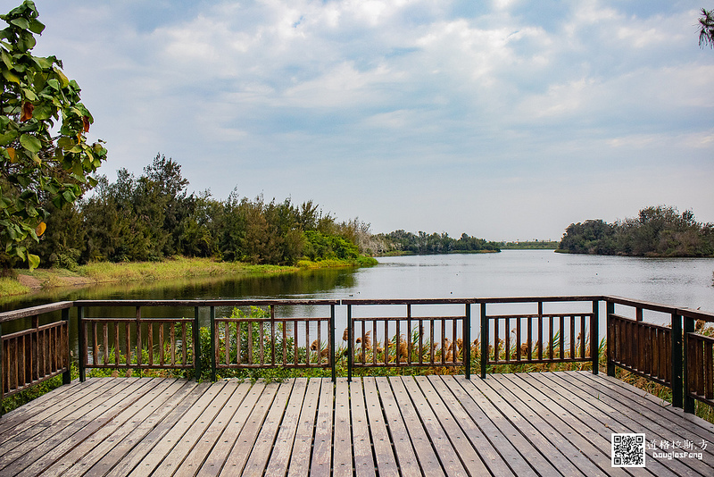 【遊記】雲林口湖宜梧滯洪池 (4)