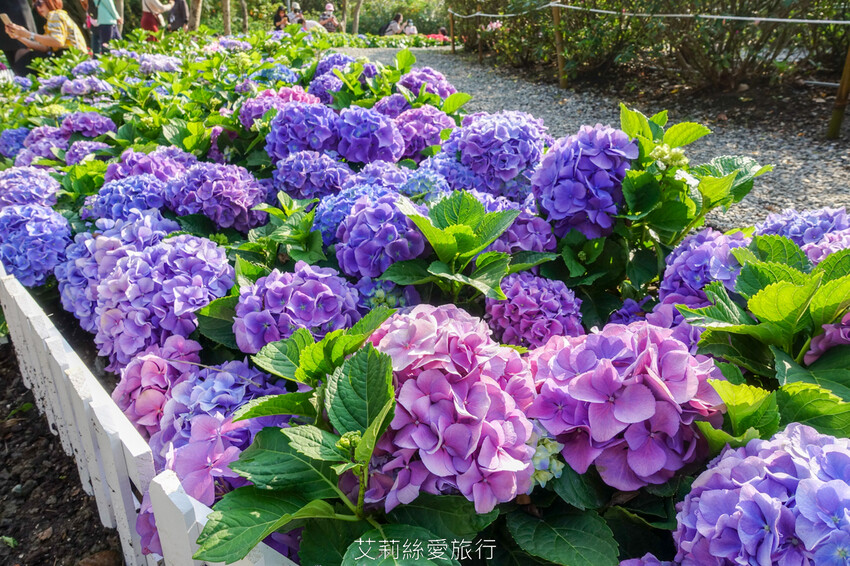 傳承60年巷子內經典美味!台北超人氣排隊魯肉飯,國宴指定國民小吃,一開店就大排大龍,晚來吃不到哦...