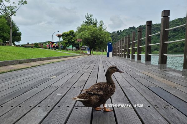 【宜蘭/冬山】梅花湖