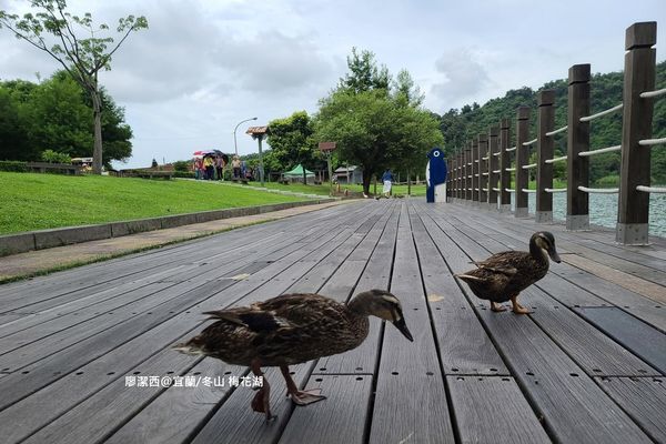 【宜蘭/冬山】梅花湖