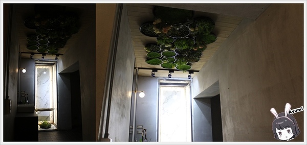 yoh 曜日義式餐酒館：[食記]►台北大安區◄Yoh曜日義式餐酒館﹥﹥不論是來小酌或是來約會這裡更是一間寵物友善餐廳