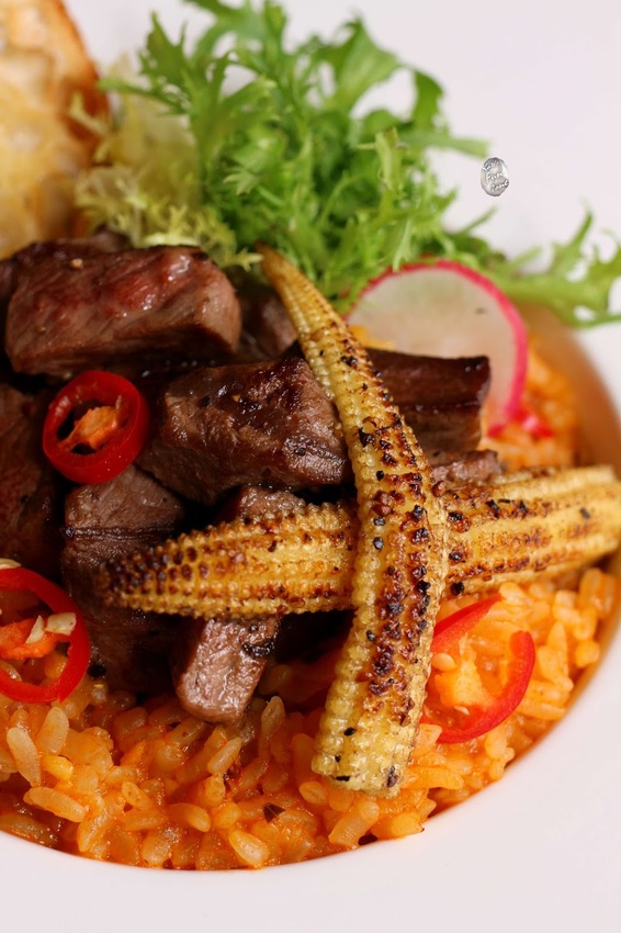 Yoh/Kate's FZ Yoh/Kate's FZ