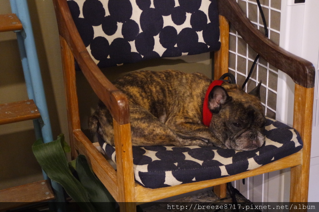 SAM_6700.JPG SAM_6700.JPG