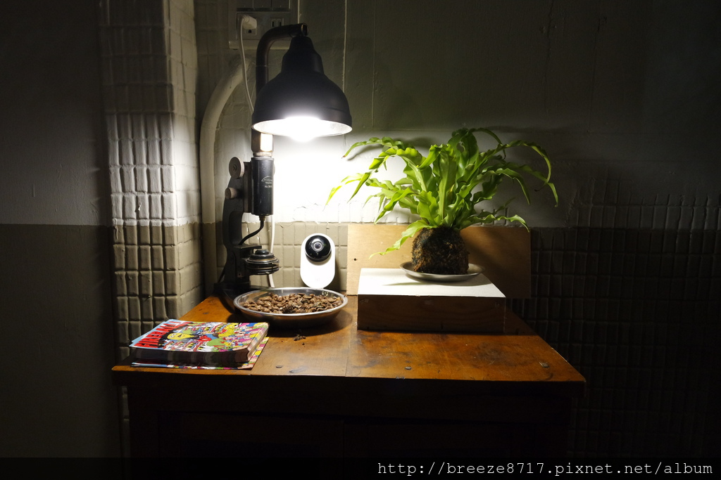 SAM_6650.JPG SAM_6650.JPG