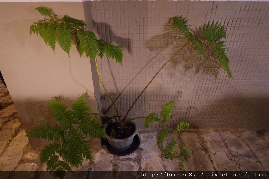 SAM_6635.JPG SAM_6635.JPG