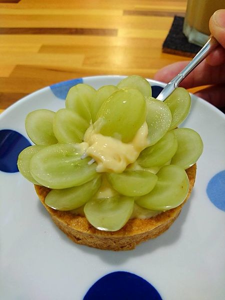 20770321_1600826659949017_354036547962371362_n