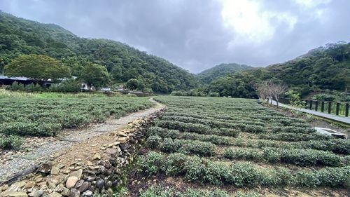 1010 1-坪林一日遊06.jpg