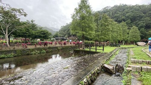 1010 1-坪林一日遊15.jpg