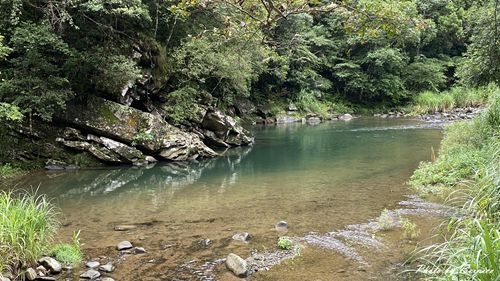 1010 1-坪林一日遊04.jpg