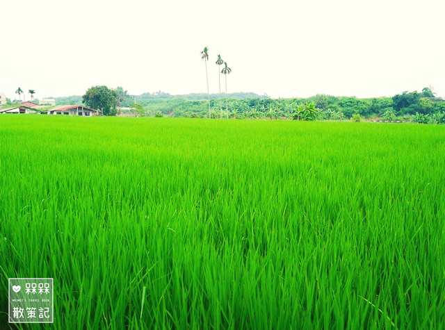 三大主題遊關故西拉雅台灣好行巴士之旅