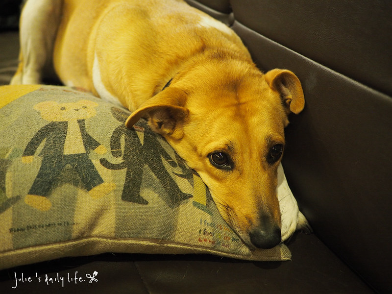 Together Cafe,下午茶,午餐,台北永康商圈咖啡,咖啡,晚餐,東門捷運站,東門站,永康街,永康街咖啡,永康街美食,美食,聚會推薦,蜜糖吐司,超值,輕食 @跟著Julie一起走吧