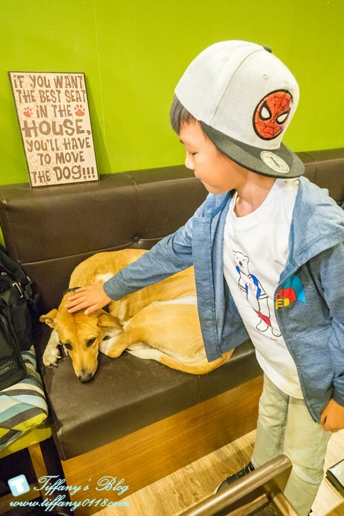 [東門美食]永康街Together cafe/超值午餐CP值高/甜鹹食都有適合親子與寵物的永康街咖啡店推薦