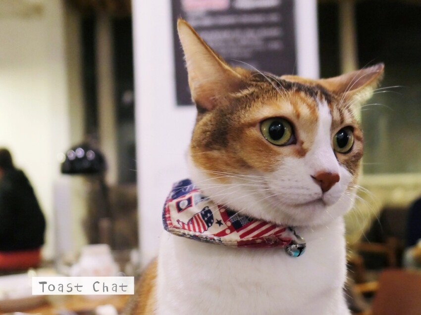 大台北早午餐/下午茶/咖啡廳懶人包（2021/7/29更新，累計75間）