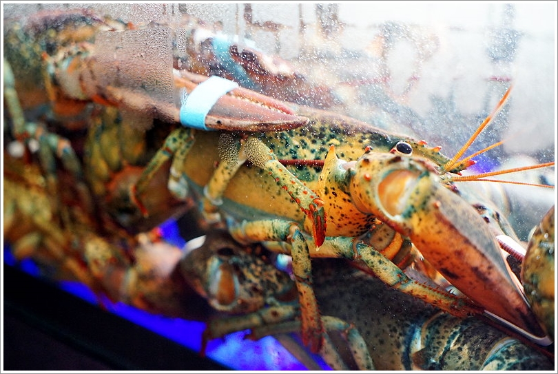 【台中親子景點】禮客LEECO OUTLET‧玩上一整天也不膩的親子百貨!