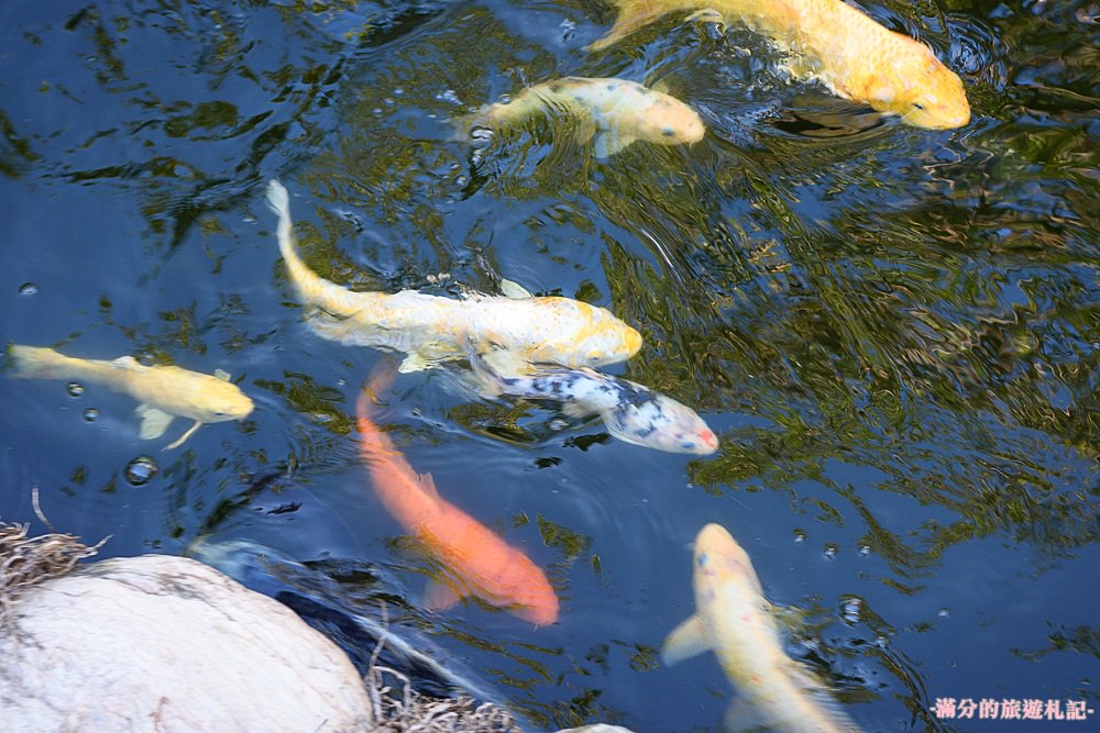 新竹新豐美食》東尼High Line咖啡館 新豐下午茶 變形金剛&蜘蛛人同台登場超亮眼 - 滿分的旅遊札記