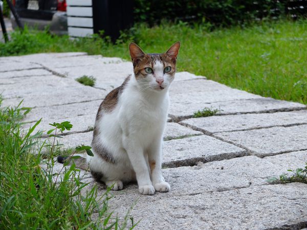 FullSizeRender 30.jpg