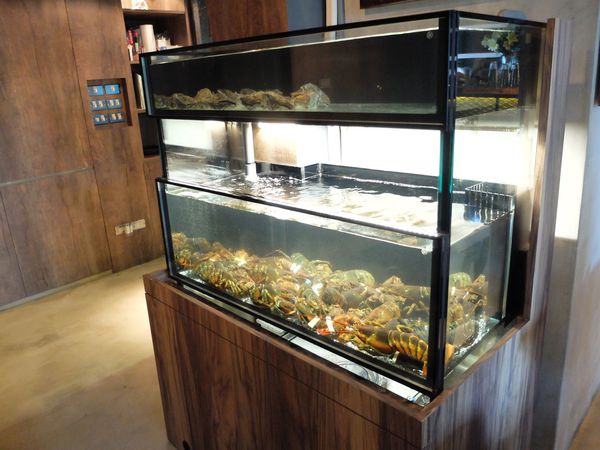 FullSizeRender 14.jpg