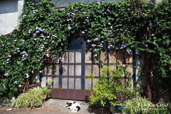 田口山 居食酒 大阪燒 無國籍：【台東都蘭美食】田口山居食酒大阪燒・新東糖廠文化園區自在角落