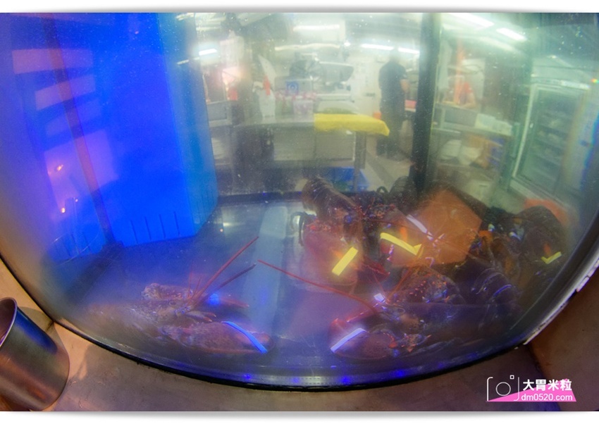 台北大直超猛海鮮火鍋！天鍋宴大直店3.0,招牌活體波士頓龍蝦有夠青,自助吧含汽水,甜點,卡比索冰淇淋吃到飽, - 大胃米粒 DAVID & MILLY