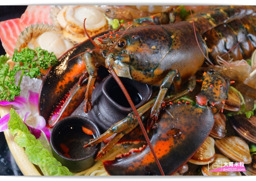 台北大直超猛海鮮火鍋！天鍋宴大直店3.0,招牌活體波士頓龍蝦有夠青,自助吧含汽水,甜點,卡比索冰淇淋吃到飽, - 大胃米粒 DAVID & MILLY