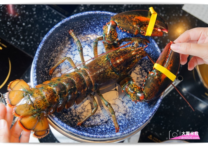 台北大直超猛海鮮火鍋！天鍋宴大直店3.0,招牌活體波士頓龍蝦有夠青,自助吧含汽水,甜點,卡比索冰淇淋吃到飽, - 大胃米粒 DAVID & MILLY