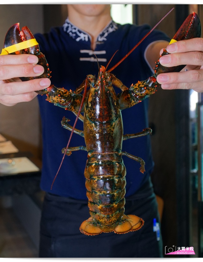 台北大直超猛海鮮火鍋！天鍋宴大直店3.0,招牌活體波士頓龍蝦有夠青,自助吧含汽水,甜點,卡比索冰淇淋吃到飽, - 大胃米粒 DAVID & MILLY
