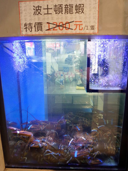 DSC02158.JPG DSC02158.JPG