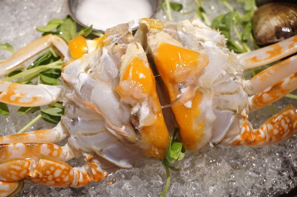 DSC02106.JPG DSC02106.JPG