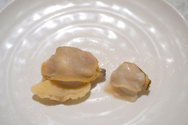 DSC02145.JPG DSC02145.JPG