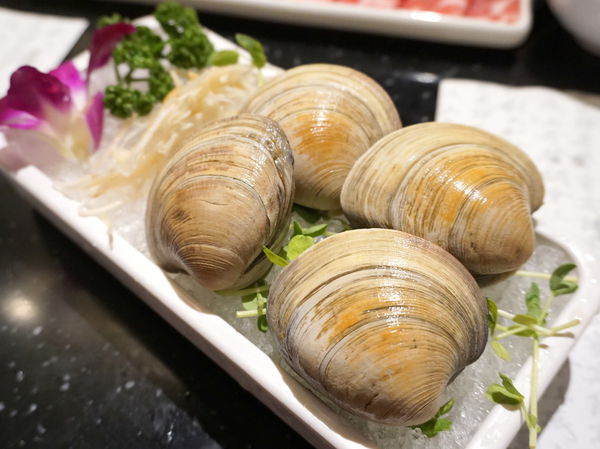 DSC02119.JPG DSC02119.JPG