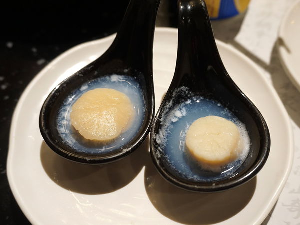 DSC02083.JPG DSC02083.JPG