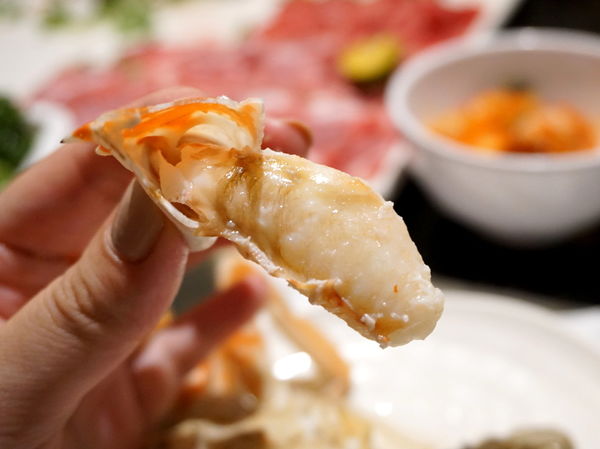 DSC02137.JPG DSC02137.JPG